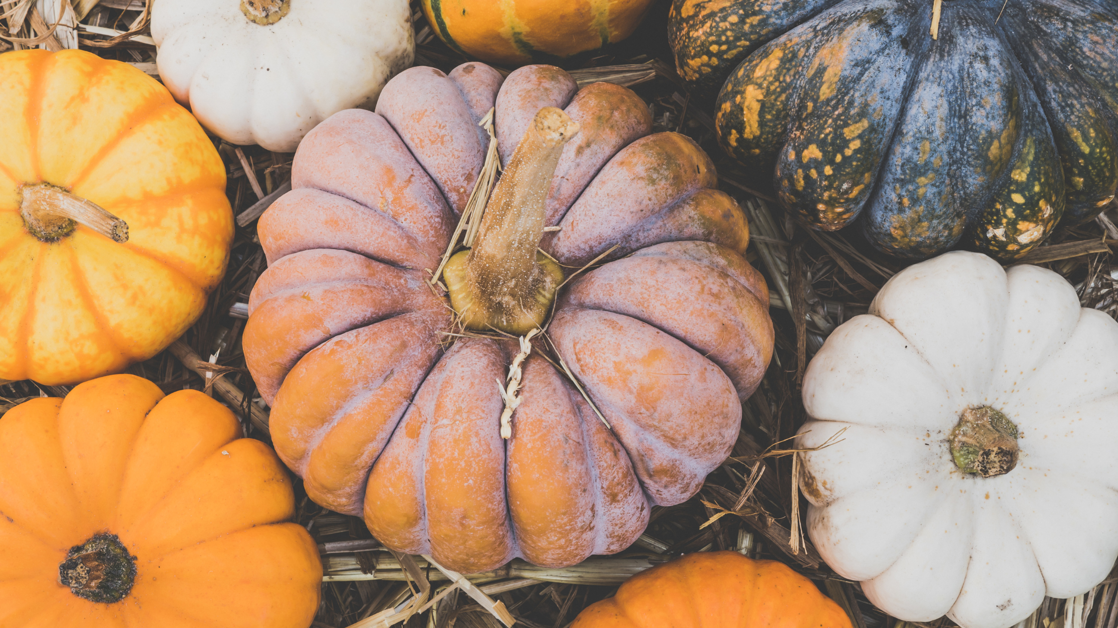 What to Do With Your Leftover Porch Pumpkins