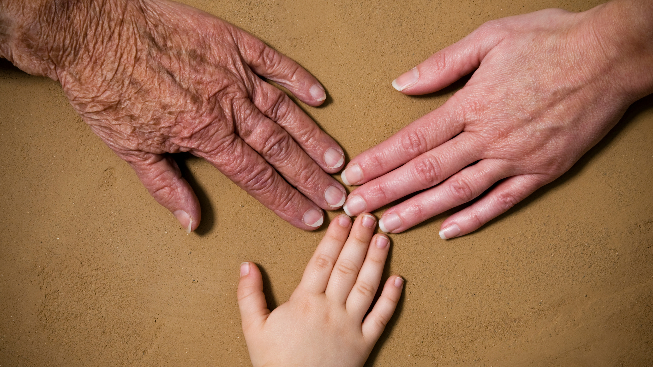 3 GENERATIONS OF VEGANS