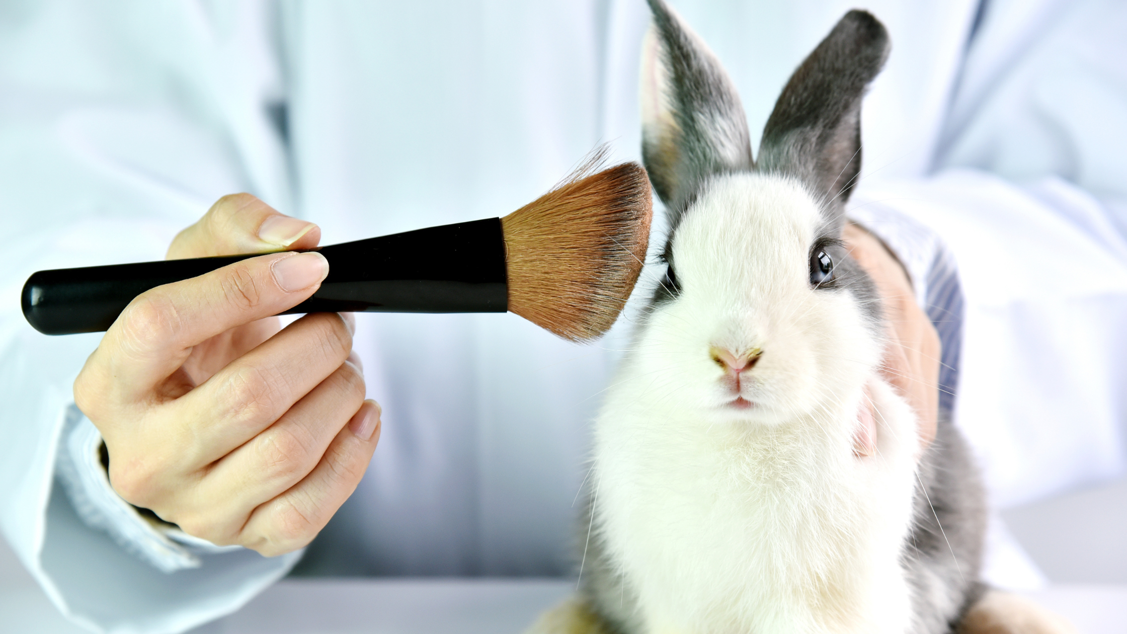 CRUELTY FREE AND WHY IT MATTERS
