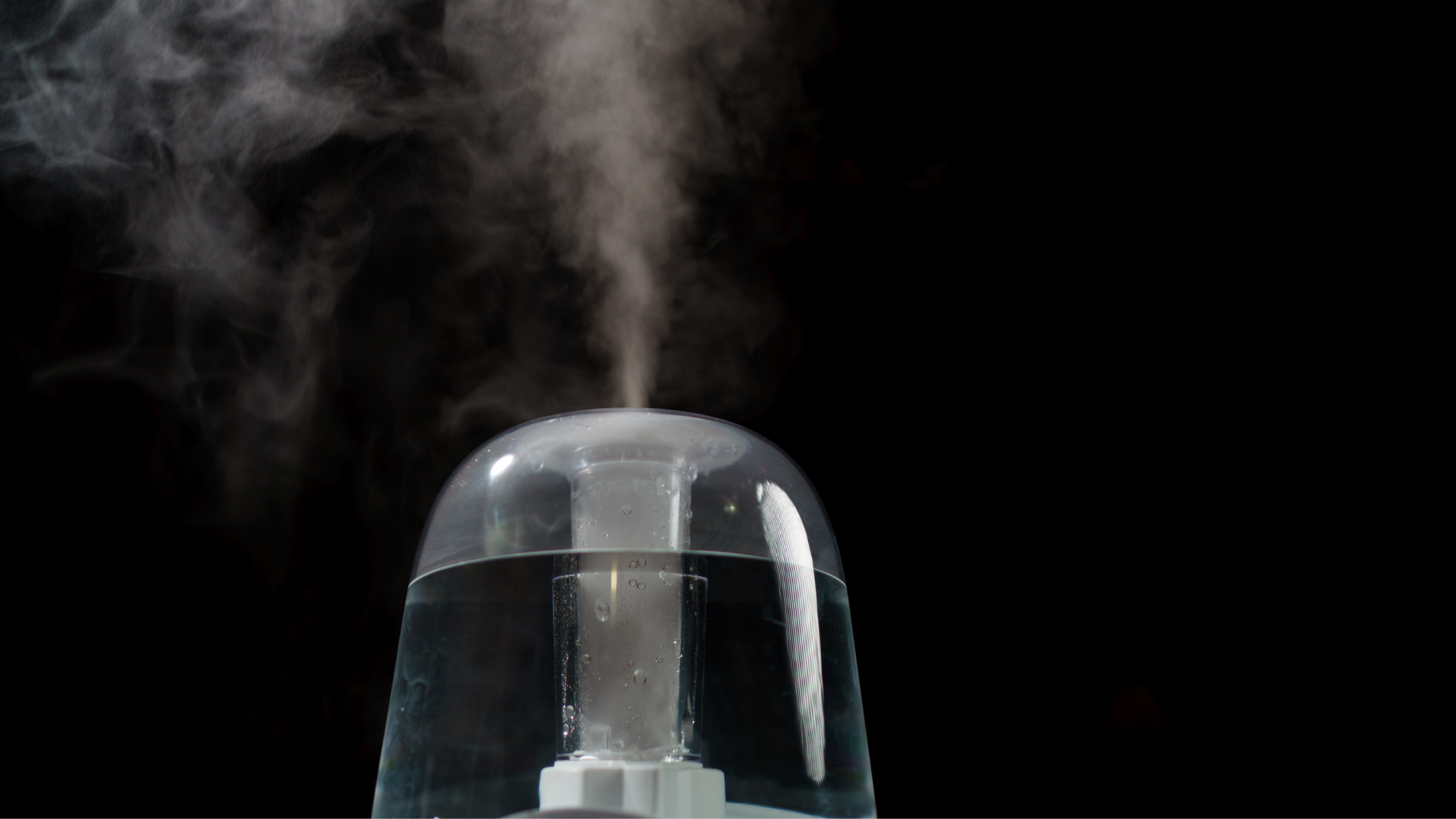 Embracing Elegance: The Timeless Benefits of the Humidifier